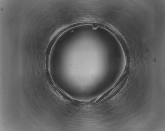 X0000067911222200604131335