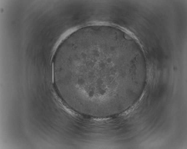 X0000067911223200604131335