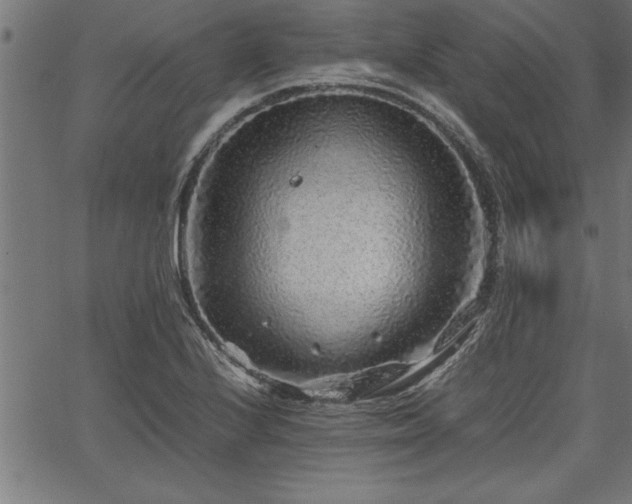 X0000067911224200604131335