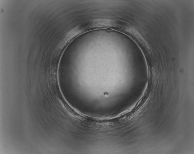 X0000067911225200604131335