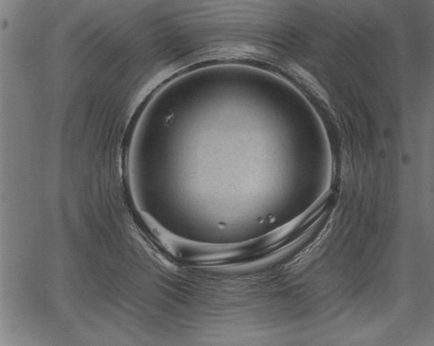 X0000067911226200604131335