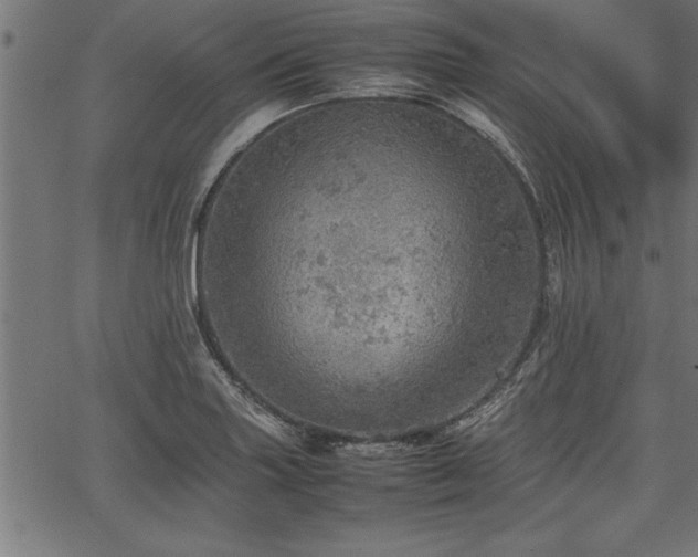 X0000067911227200604131335