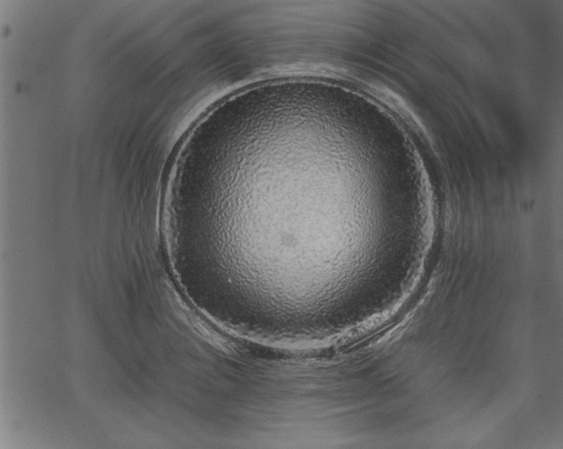 X0000067911228200604131335