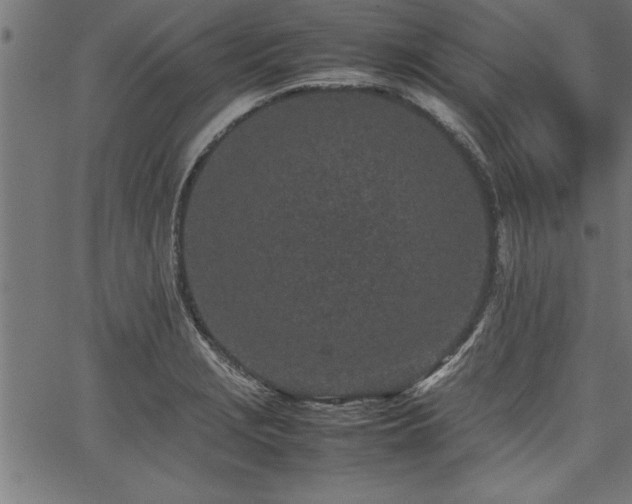 X0000067911229200604131335