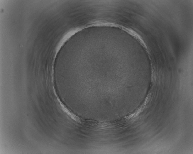 X0000067911231200604131335