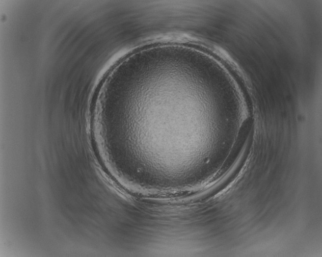 X0000067911232200604131335