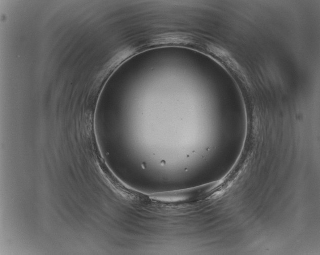 X0000067911233200604131335