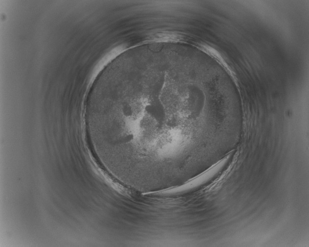 X0000067911235200604131335