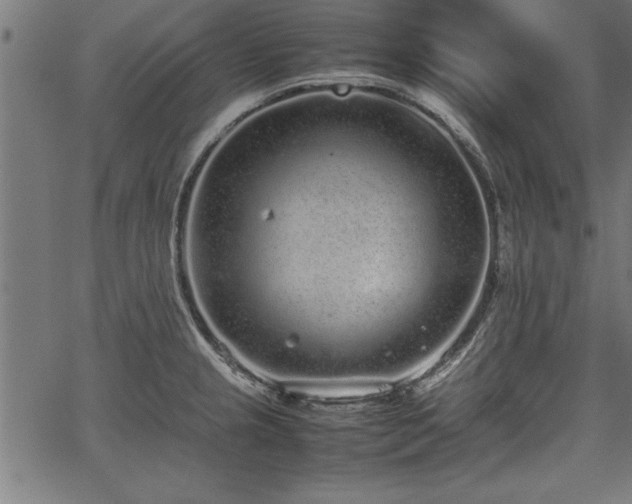 X0000067911237200604131335