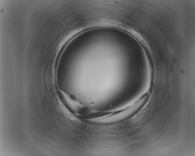 X0000067911238200604131335