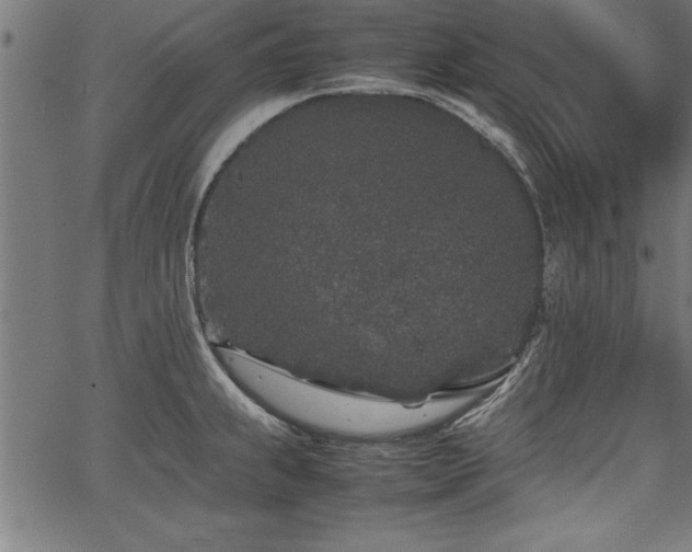 X0000067911239200604131335