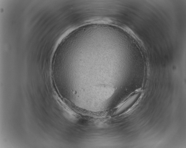 X0000067911240200604131335