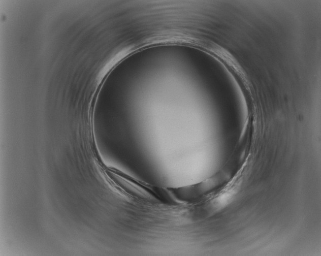 X0000067911242200604131335