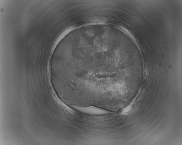 X0000067911243200604131335