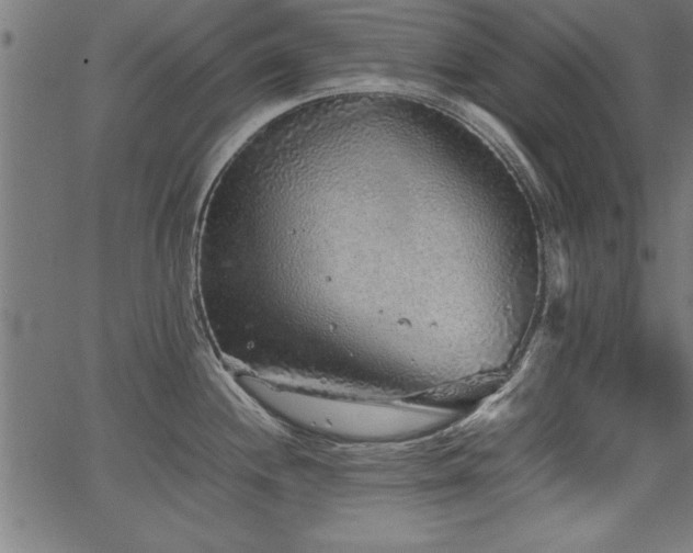 X0000067911244200604131335