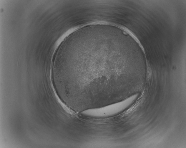 X0000067911245200604131335