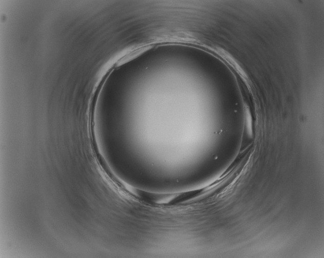 X0000067911246200604131335