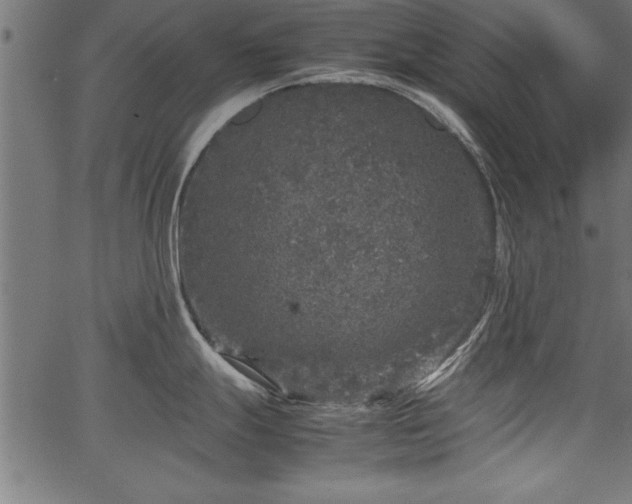 X0000067911247200604131335