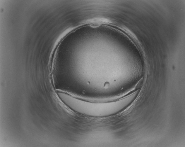 X0000067911248200604131335