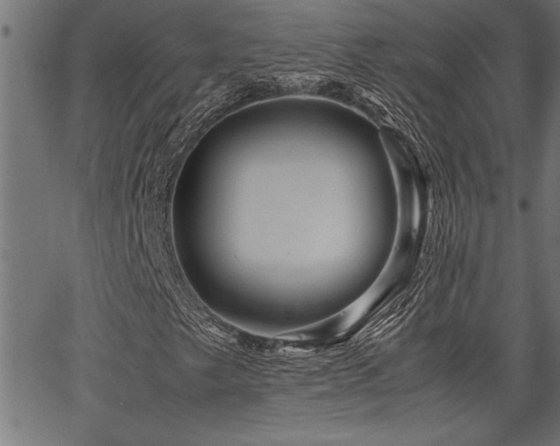 X0000067911249200604131335