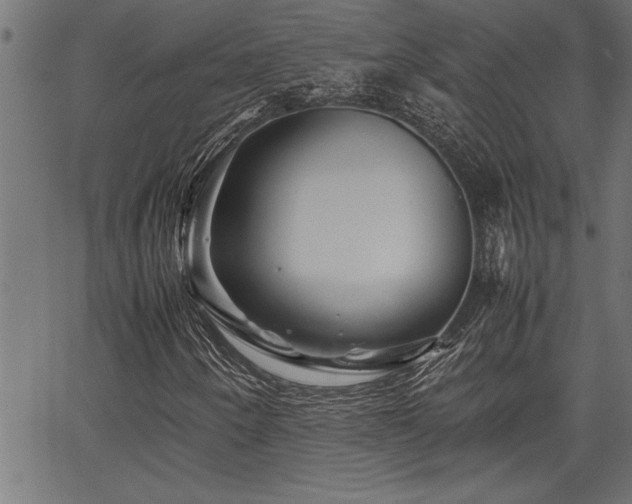 X0000067911250200604131335