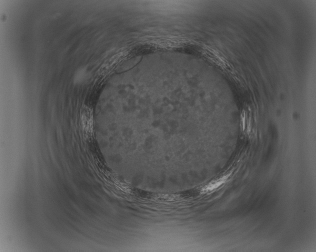 X0000067911251200604131335