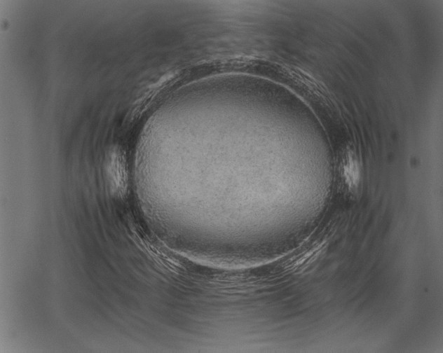 X0000067911252200604131335