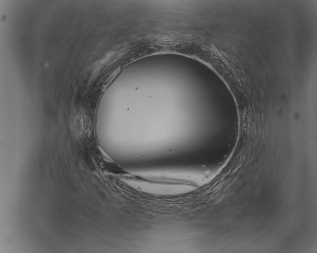 X0000067911253200604131335