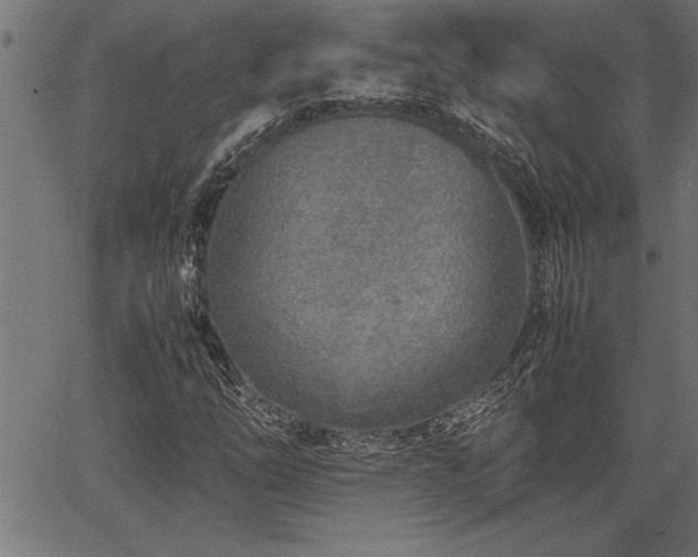 X0000067911254200604131335