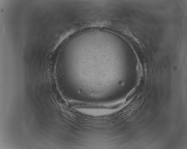 X0000067911256200604131334