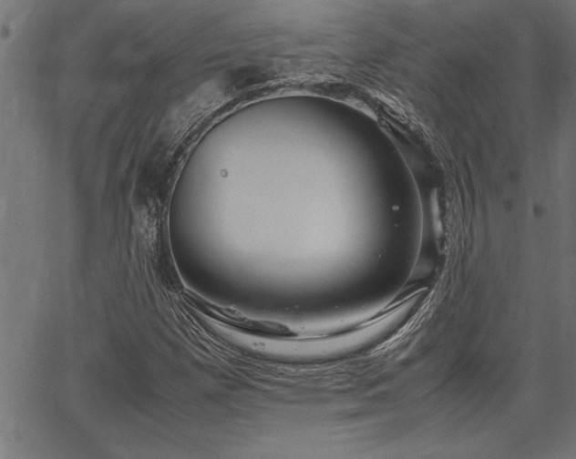 X0000067911257200604131334