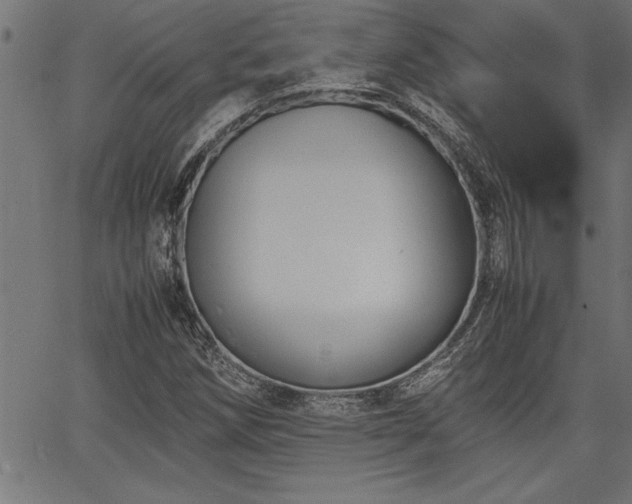 X0000067911258200604131334