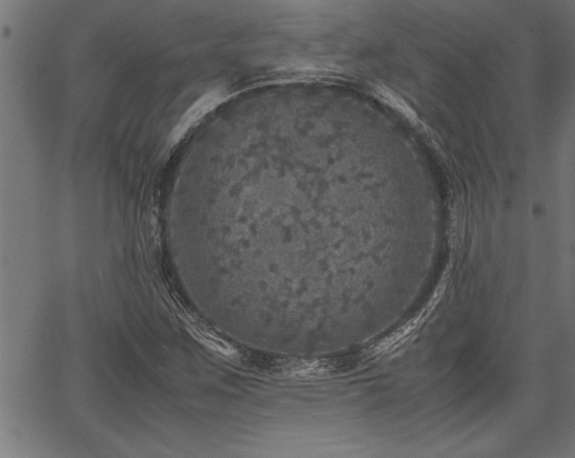 X0000067911259200604131334