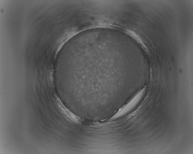 X0000067911260200604131334