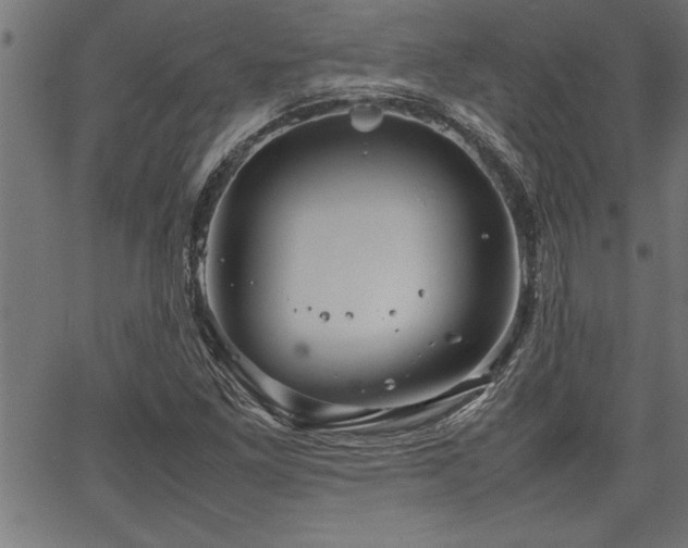 X0000067911261200604131334