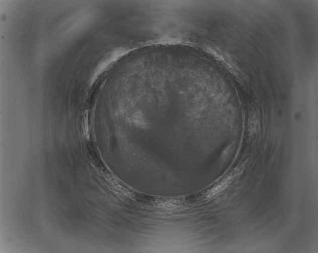 X0000067911262200604131334