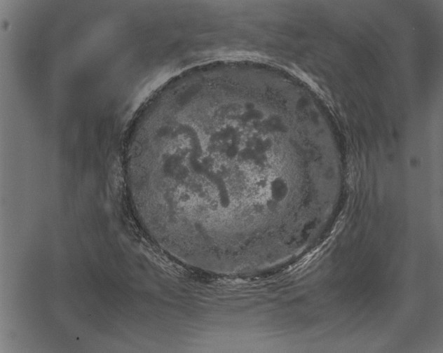 X0000067911263200604131334