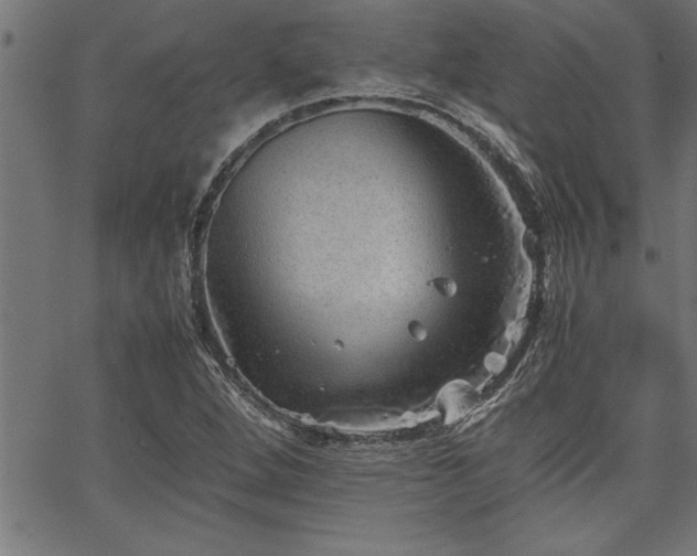 X0000067911264200604131334