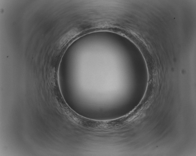 X0000067911265200604131334