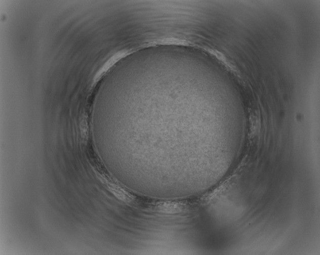 X0000067911266200604131334