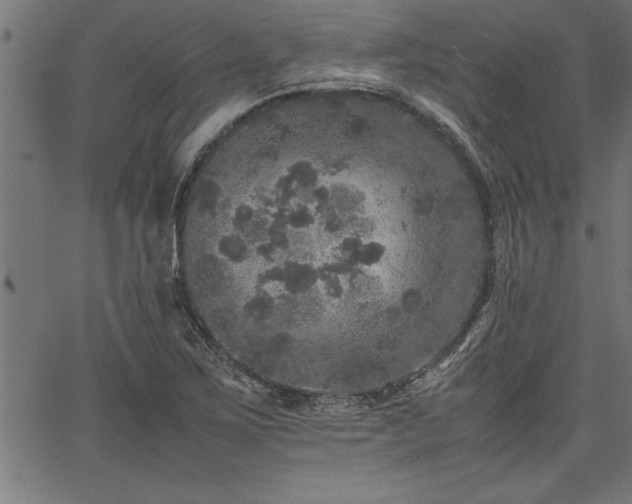 X0000067911267200604131334