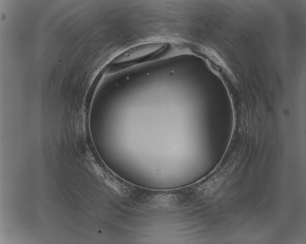 X0000067911268200604131334