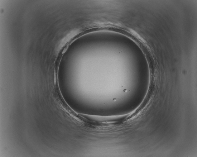 X0000067911269200604131334