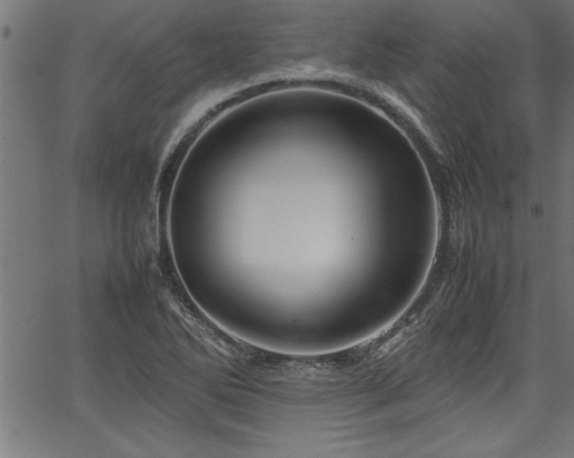 X0000067911270200604131334