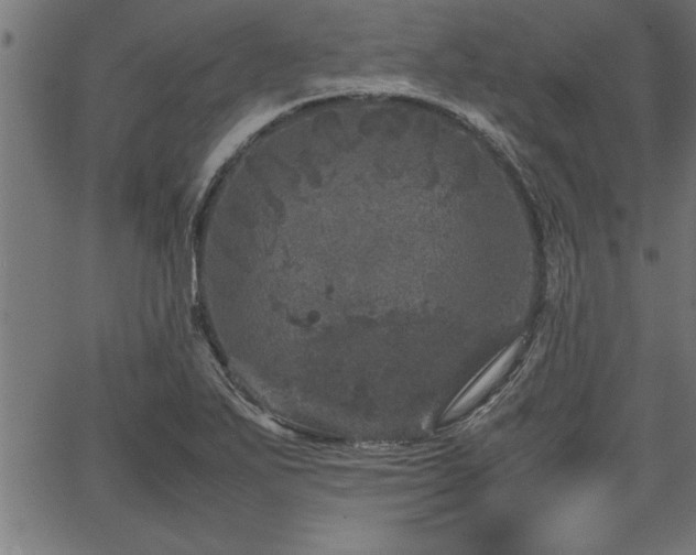 X0000067911271200604131334