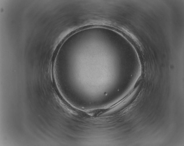 X0000067911272200604131334