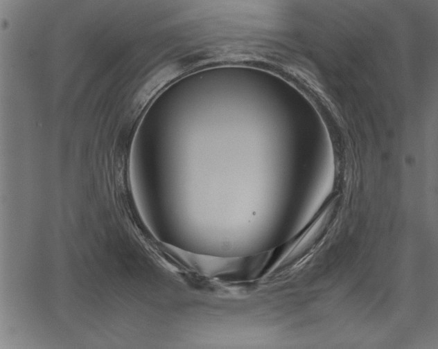 X0000067911273200604131334