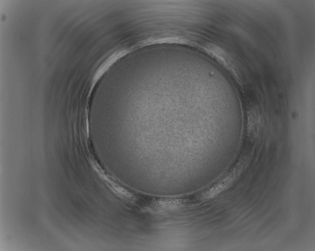 X0000067911274200604131334