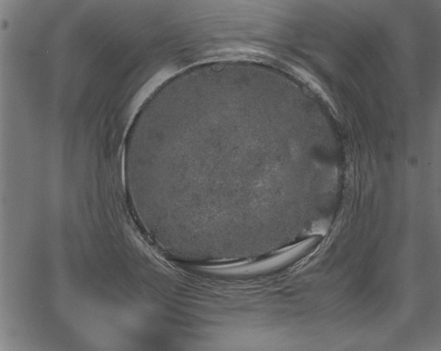 X0000067911275200604131334