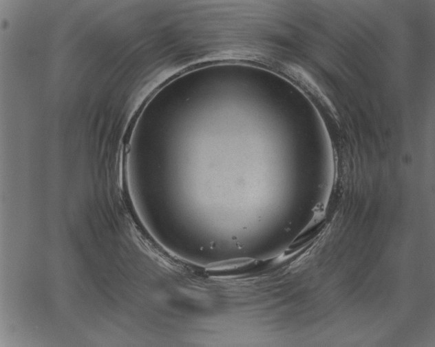 X0000067911276200604131334